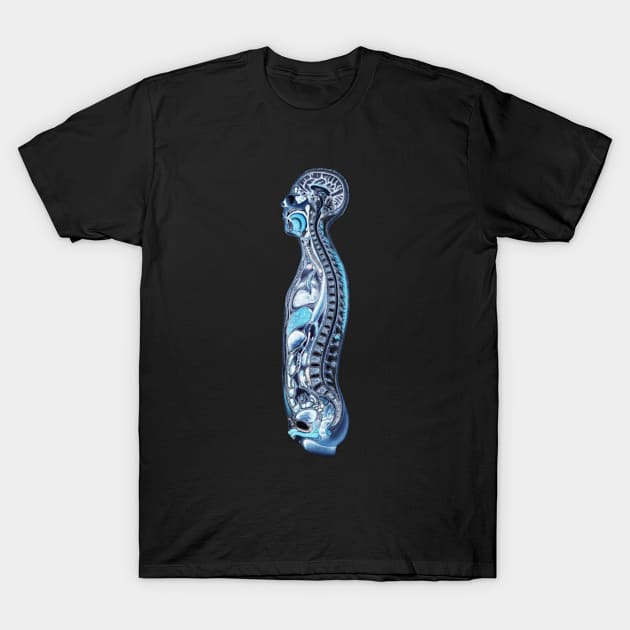 Anatomy T-Shirt by medd.art